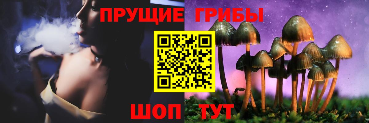 Псилоцибиновые грибы ЛСД  что такое   Городец  Вход с VPN  Псилоцибиновые грибы GOLDEN TEACHER 